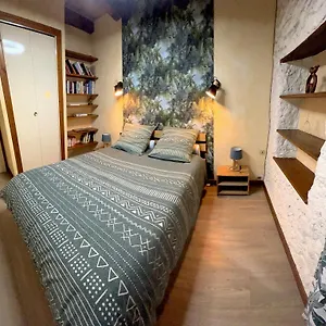 Le Thiou Paradise , Annecy France